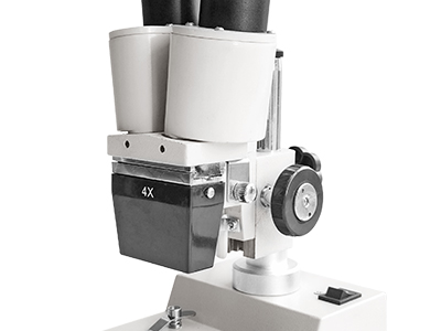 S-10-L-2.jpg