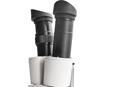 S-10-L-1.jpg