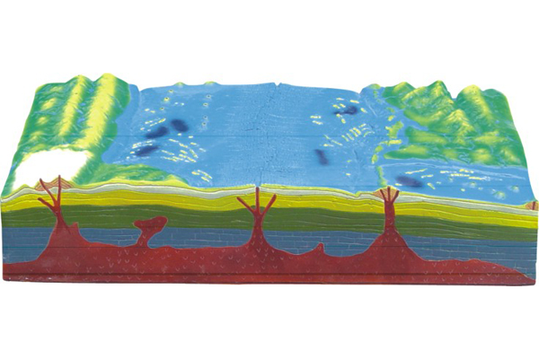 3413 Plate tectonics model